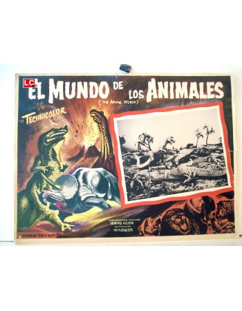 THE ANIMAL WORLD