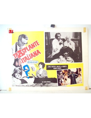 IL TRAPIANTO