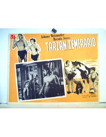 TARZAN'S DESERT MISTERY