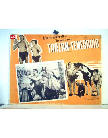 TARZAN'S DESERT MISTERY
