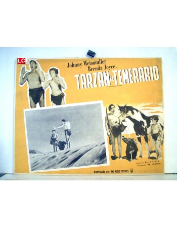TARZAN'S DESERT MISTERY