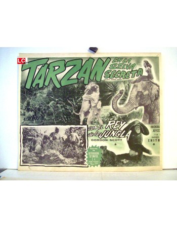 TARZANS HIDDEN JUNGLE