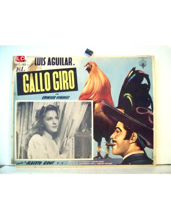 GALLO GIRO