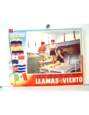 LLAMAS CONTRA EL VIENTO