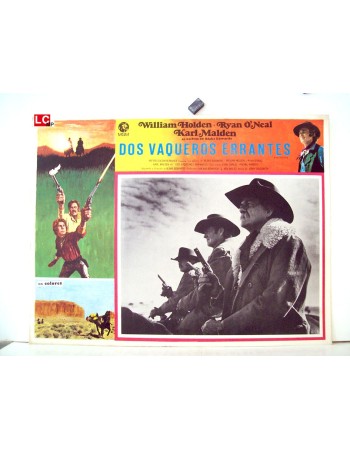 WILD ROVERS