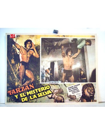 TARZAN Y EL MISTERIO DE LA SELVA