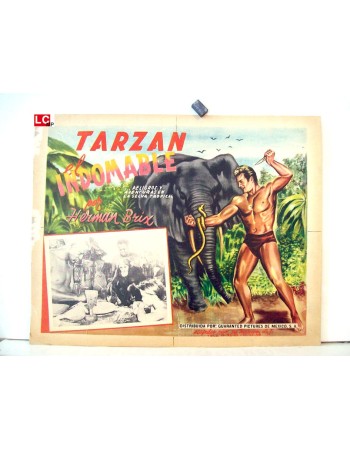 THE NEW ADVENTURES OF TARZAN