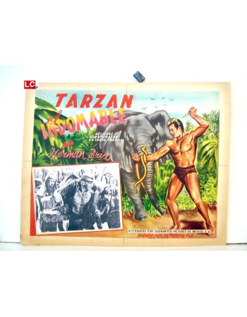 THE NEW ADVENTURES OF TARZAN