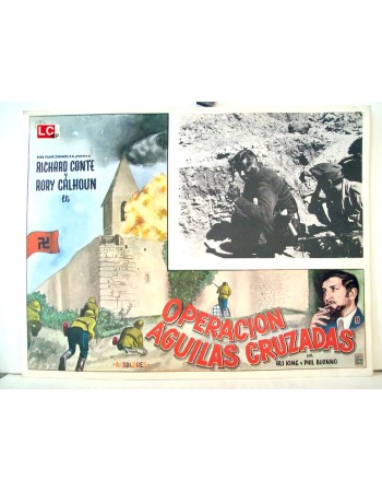 OPERATION CROSS EAGLES