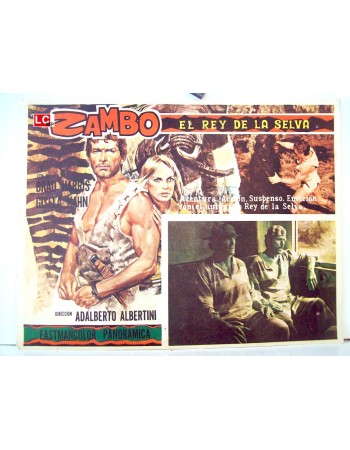 ZAMBO, IL DOMINATORE DELLA FORESTA