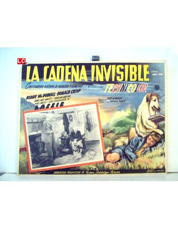 LASSIE COMES HOME