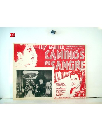 CAMINOS DE SANGRE