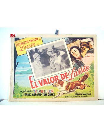 COURAGE OF LASSIE