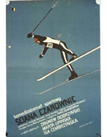 SCIANA CZAROWNIC