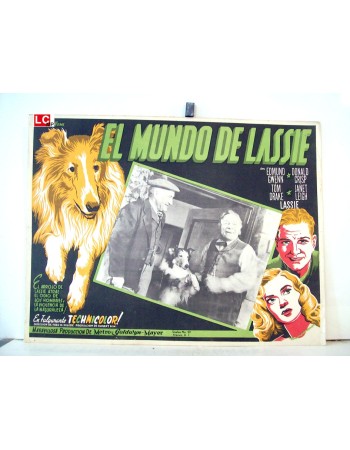 LASSIE OF HOME
