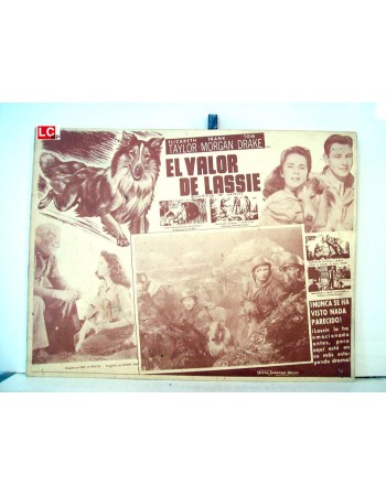 COURAGE OF LASSIE
