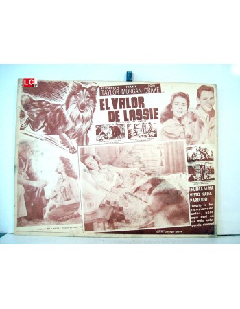 COURAGE OF LASSIE