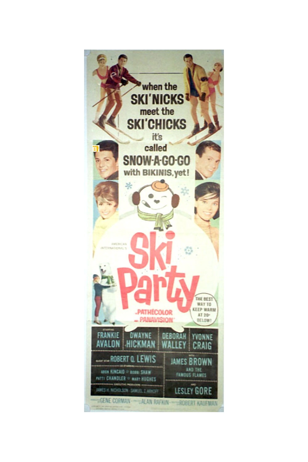 SKI PARTY