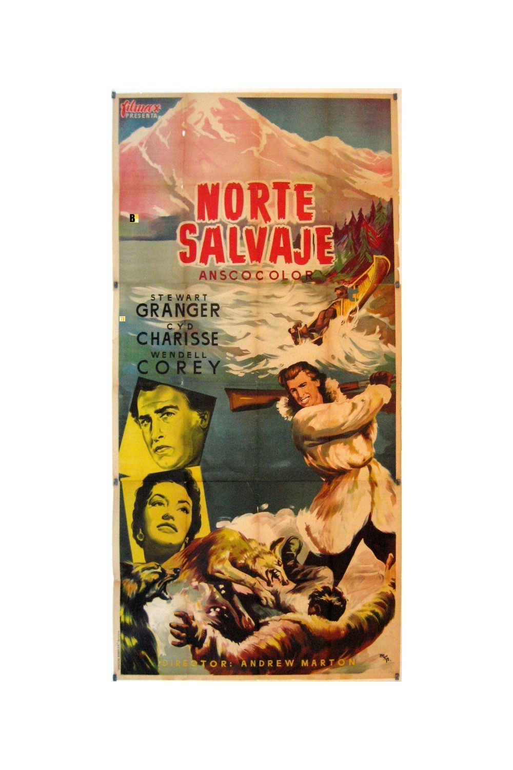 THE WILDE NORTH