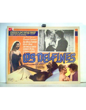 I delfini