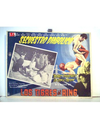 LOS TIGRES DEL RING