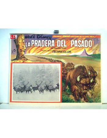 THE VANISHING PRAIRE
