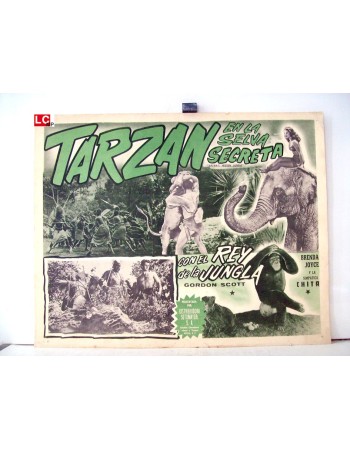 TARZANS HIDDEN JUNGLE