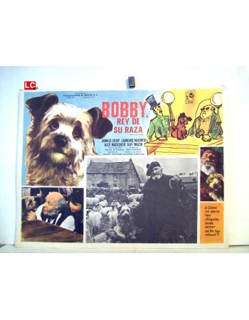 Greyfriars Bobby: The True Story of a Dog