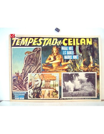 DAS TODESAUGE VON CEYLON