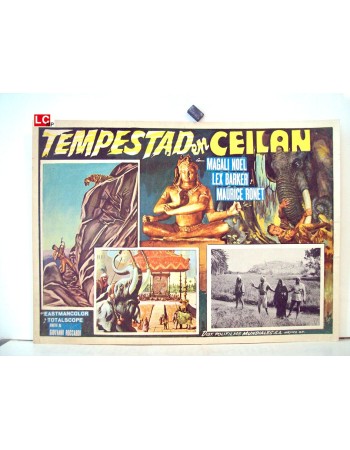 DAS TODESAUGE VON CEYLON