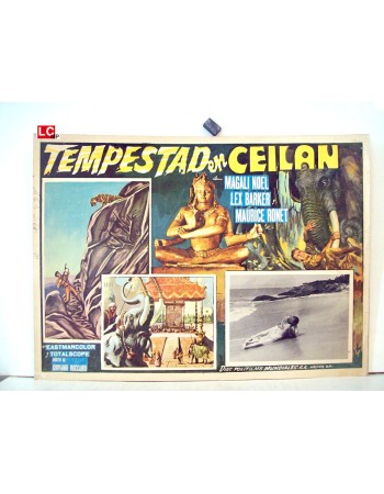 DAS TODESAUGE VON CEYLON