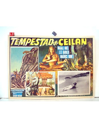 DAS TODESAUGE VON CEYLON