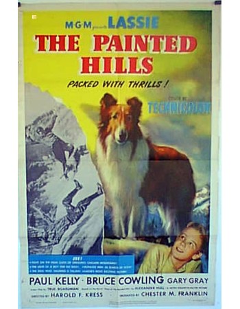 THE PAINTED HILLS