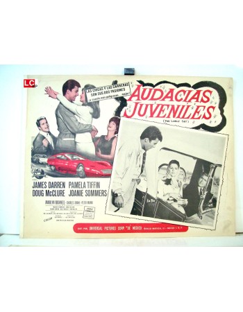 THE LIVELY SET
