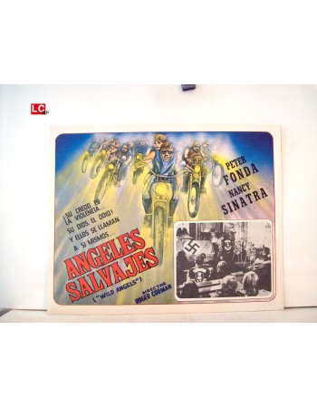 WILD ANGELS