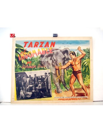 THE NEW ADVENTURES OF TARZAN