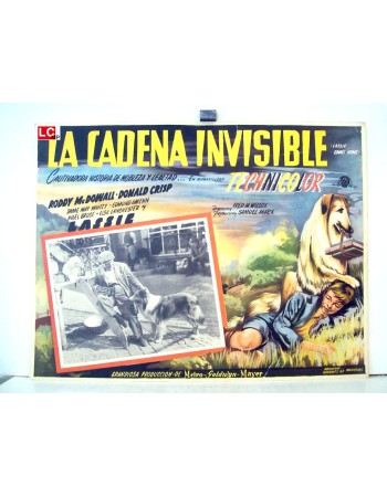 LASSIE COMES HOME