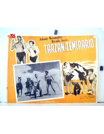 TARZAN'S DESERT MISTERY
