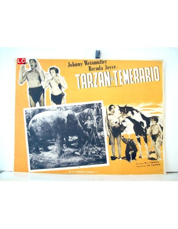 TARZAN'S DESERT MISTERY