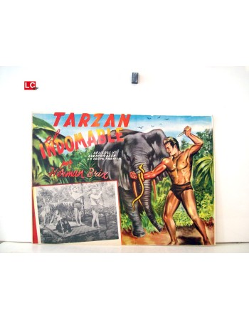 THE NEW ADVENTURES OF TARZAN