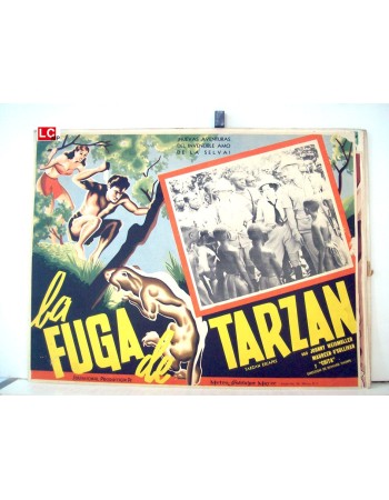 TARZAN ESCAPES