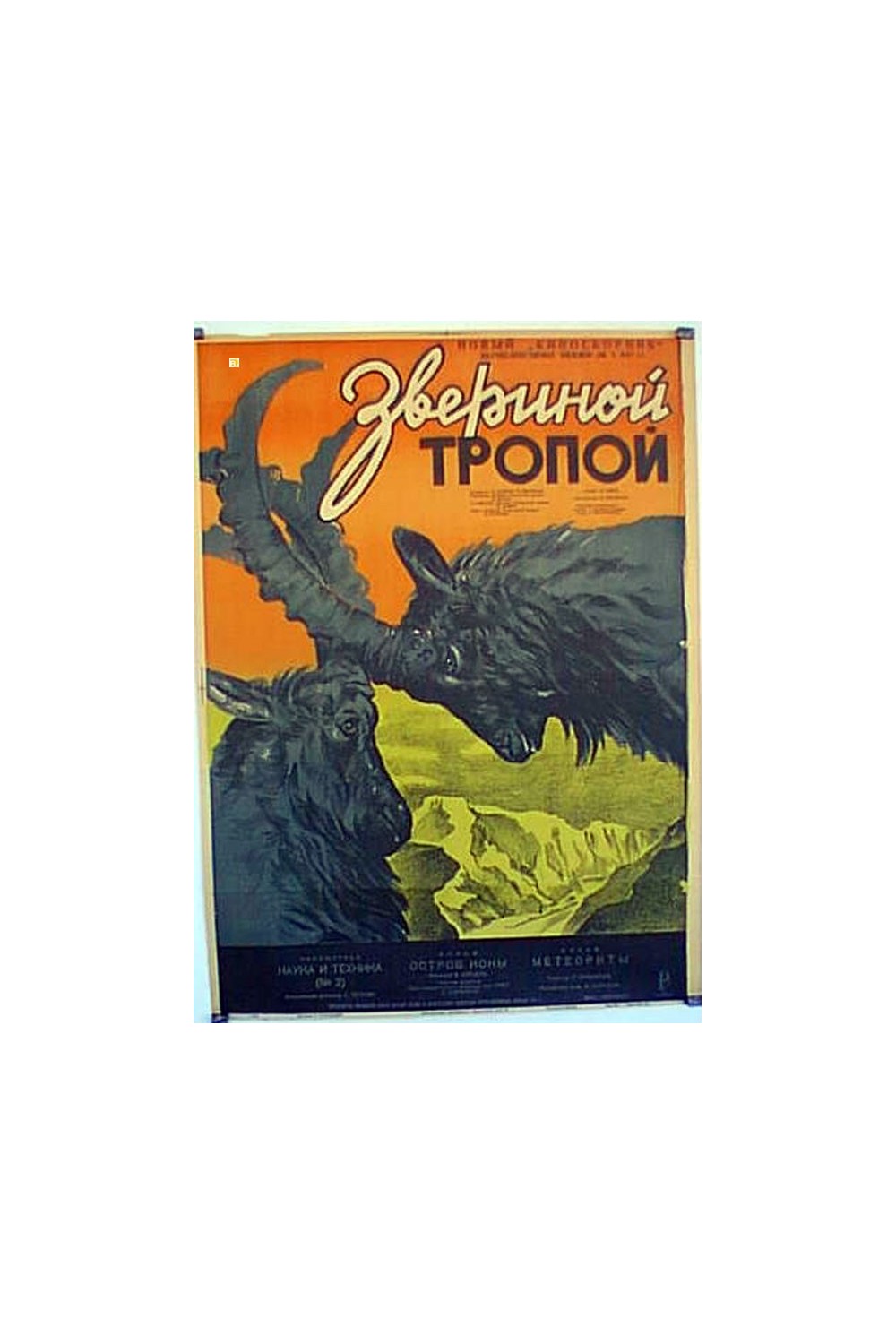 3BEPUHOU TPONON