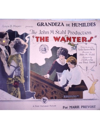 THE WANTERS