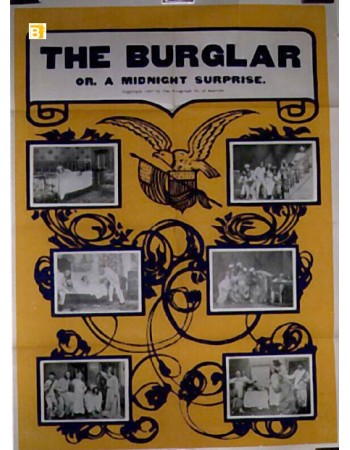 THE BURGLAR