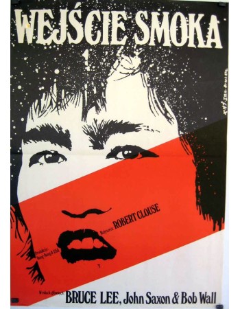 ENTER THE DRAGON