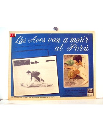 Les oiseaux vont mourir au Pérou
