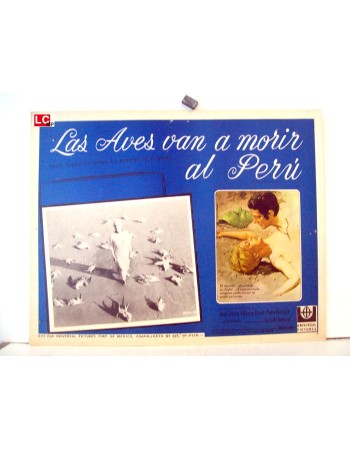 Les oiseaux vont mourir au Pérou