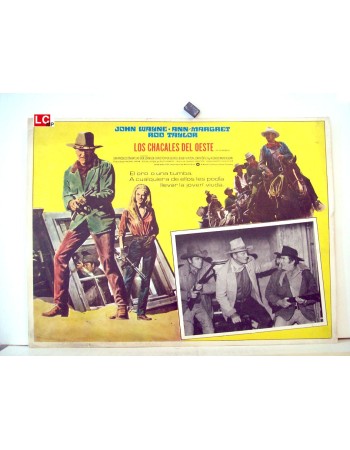 THE TRAIN ROBBERS
