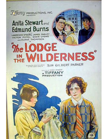 THE LODGE IN THE WILDERNES