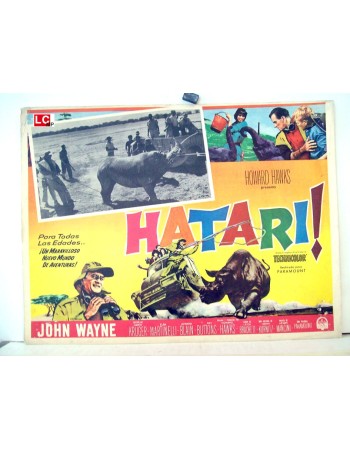 HATARI